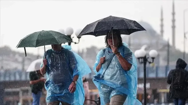 Haber gorseli