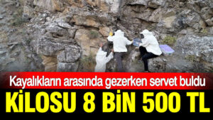haber-gorseli-1786371426694