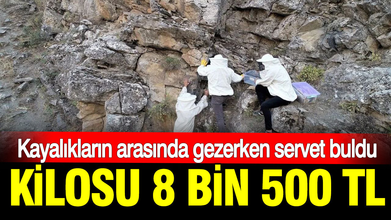 haber-gorseli-1786371426694